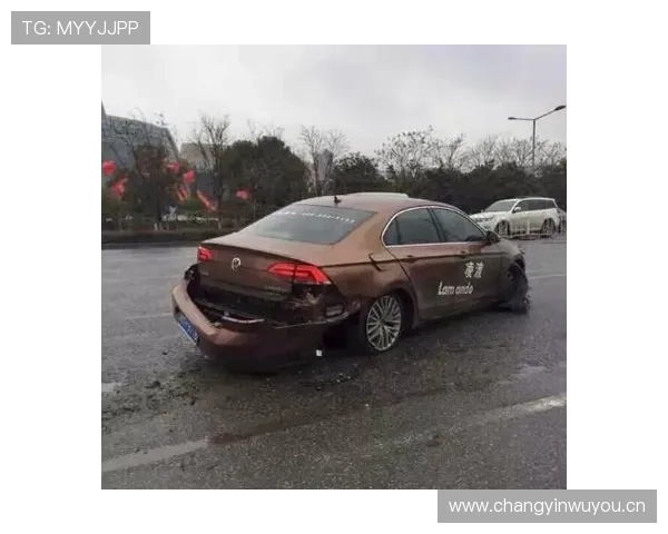 11月汽车质量缺陷报告 大众断轴第一 自主也上榜